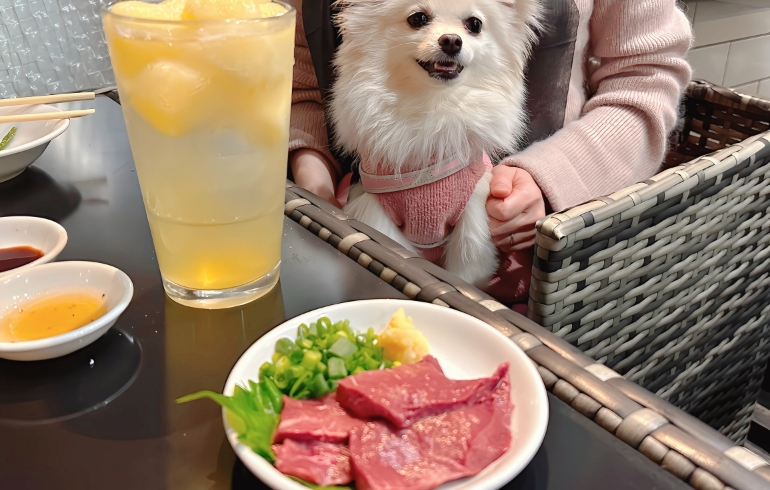 ハツ刺しとゆめちゃん