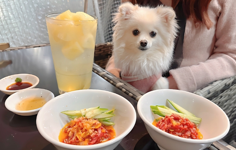炙りユッケとゆめちゃん