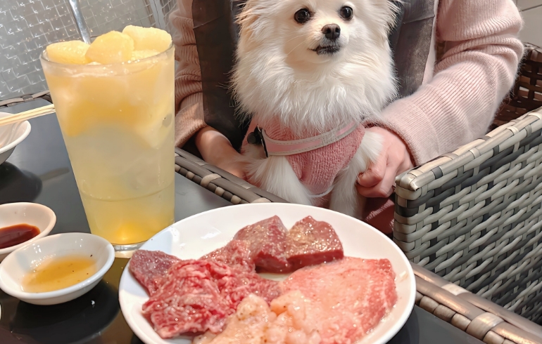「特選厚切りレバー」「特選上タン」「特選ハラミ」「上ミノ」とゆめちゃん