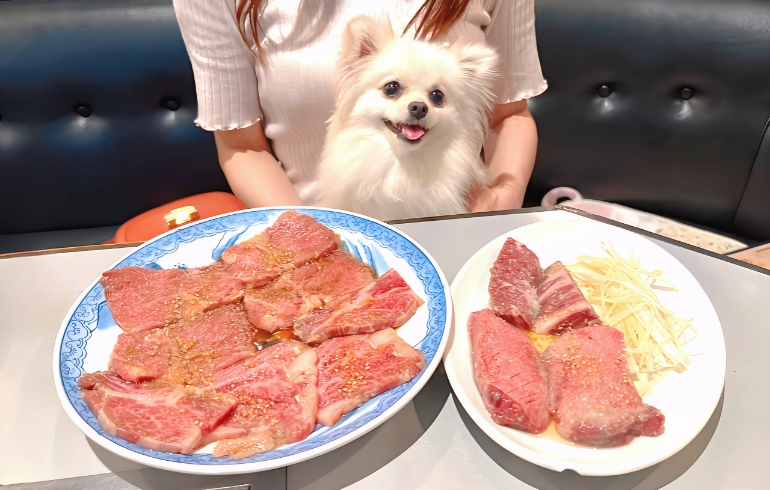 料理1