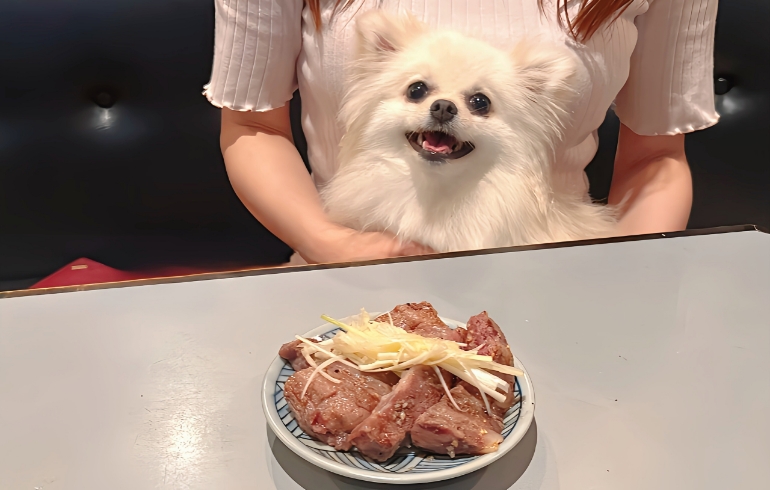 料理4