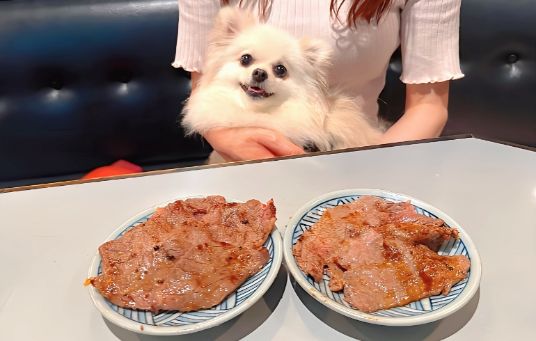 料理6