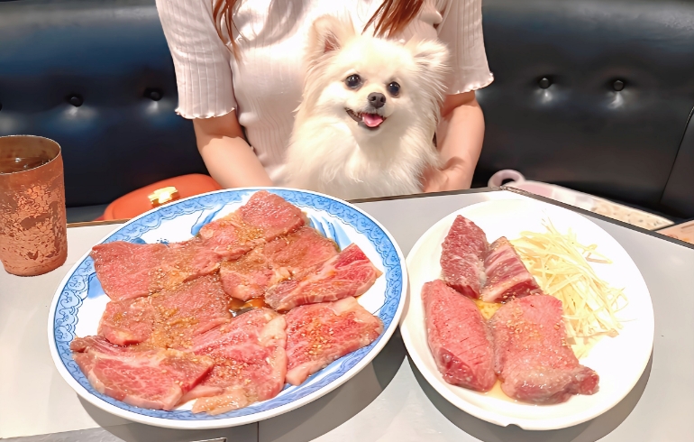 「焼肉レストラン三宝苑」のメイン画像です。