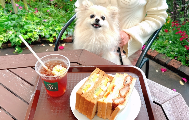 サンドイッチ2