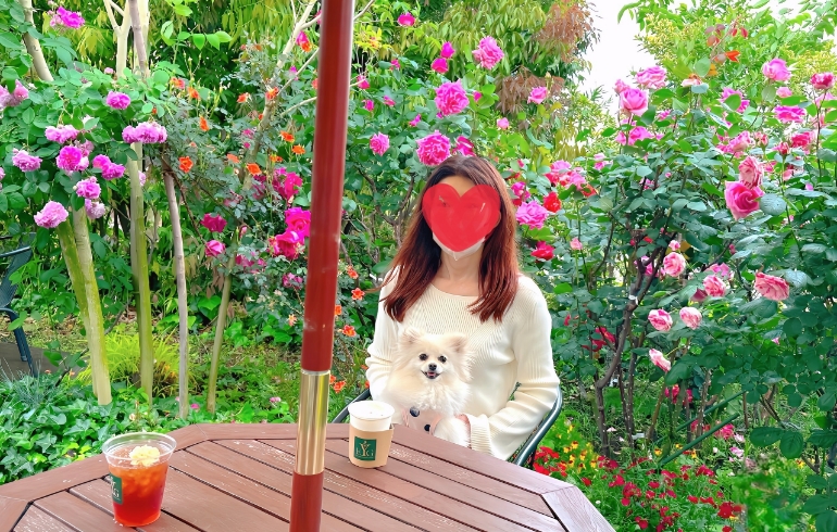 テラス席1