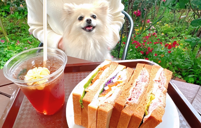 サンドイッチ1