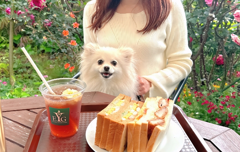 サンドイッチ2