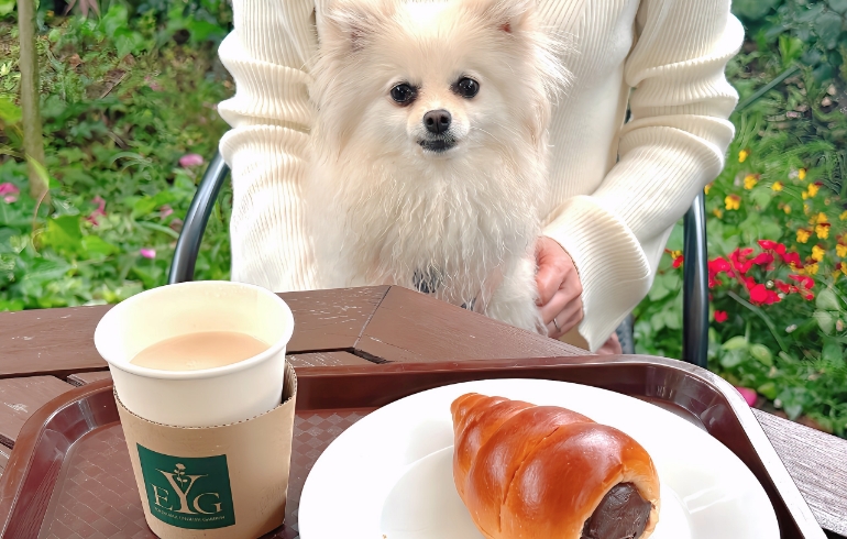 チョココロネとゆめちゃん