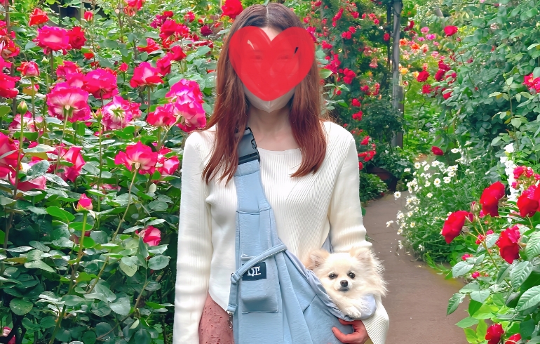 バラ園2