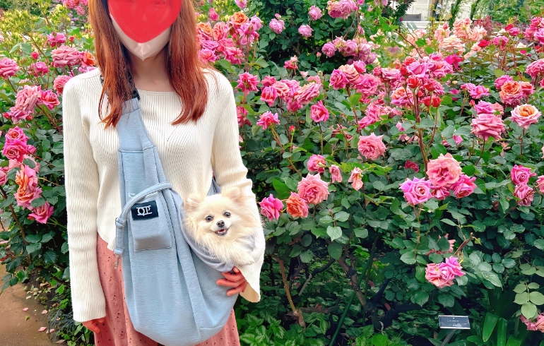 バラ園15