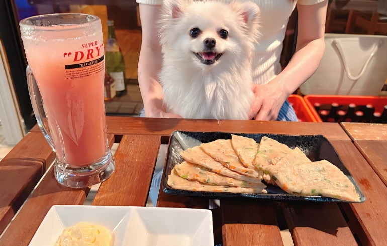 ヒラヤーチーとゆめちゃん