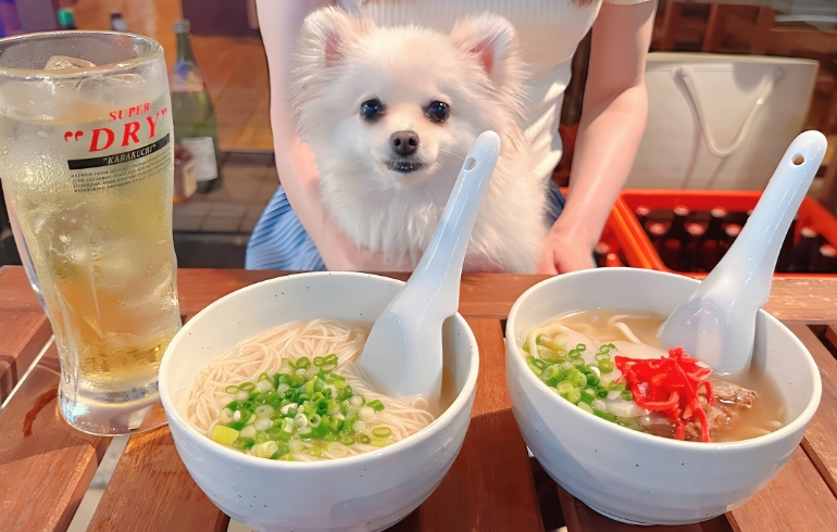 出汁ソーメンとゆめちゃん