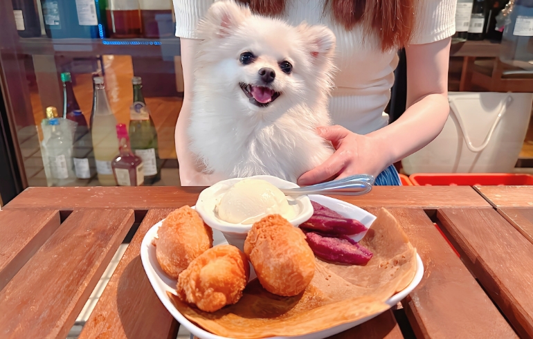 ブルーシールアイスとゆめちゃん