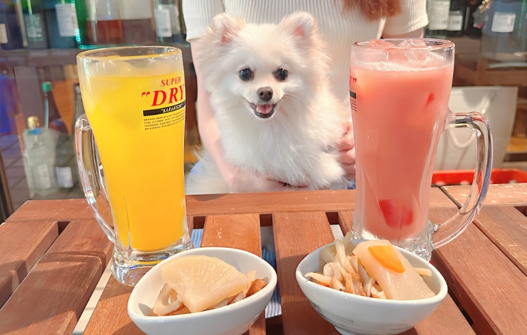 ドリンク各種とお通しとゆめちゃん