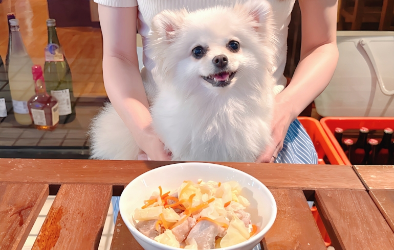 味付け無しのボイルチキンと野菜とゆめちゃん