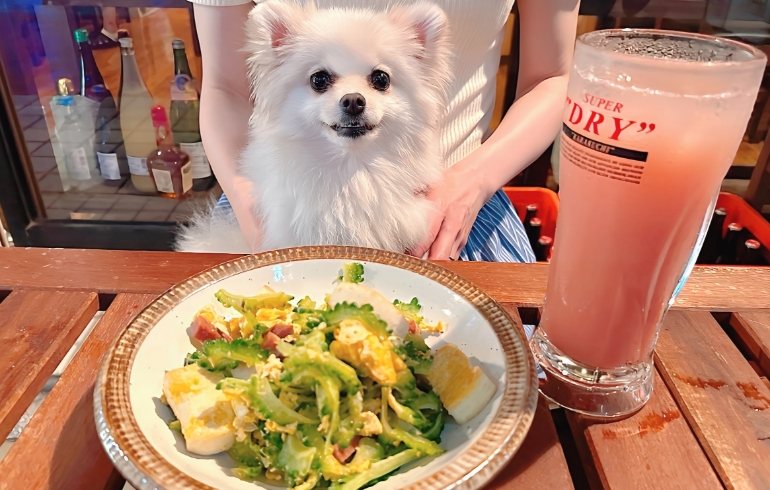 ゴーヤーチャンプルーとゆめちゃん
