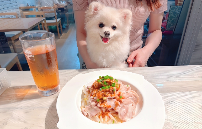 四川風蒸し鶏（よだれ鶏）とゆめちゃん