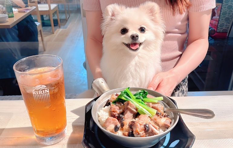 豚スペアリブのトウチソースの炊き込みご飯とゆめちゃん
