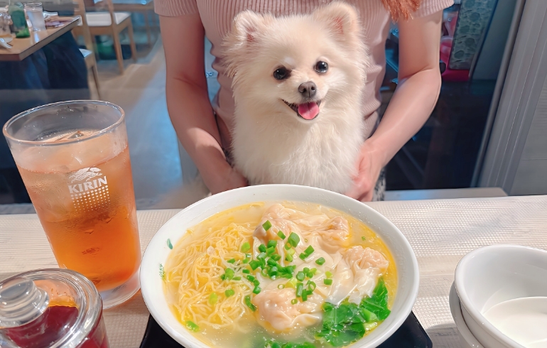 海老ワンタン麺とゆめちゃん