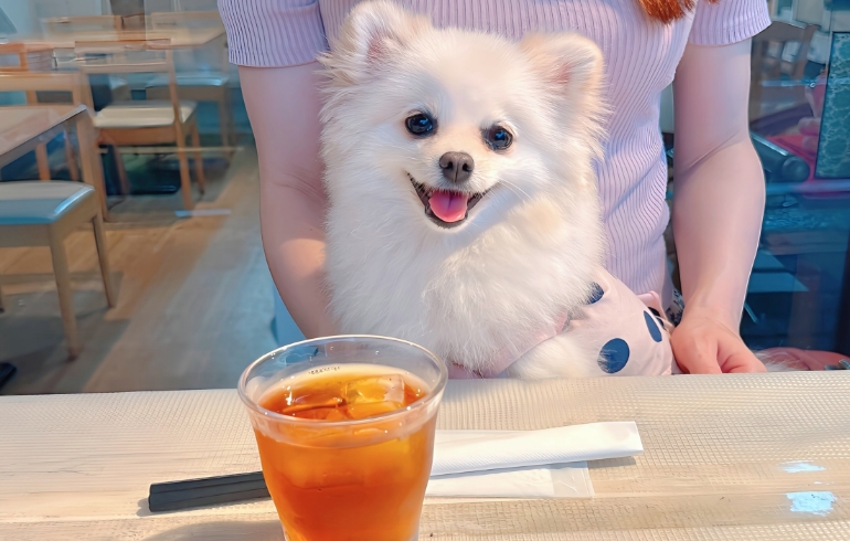 ドリンクとゆめちゃん