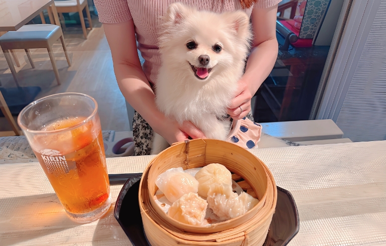 点心4点セット（エビ焼売やエビ餃子、翡翠餃子（フカヒレ餃子）など）