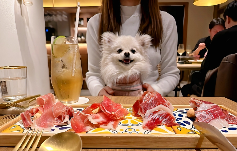 ハモン 食べ比べセットとゆめちゃん