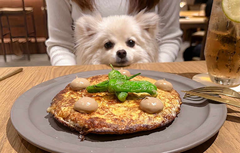 熟成生サラミの入ったスパニッシュオムレツとゆめちゃん