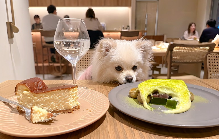 情熱のデザート各種とゆめちゃん