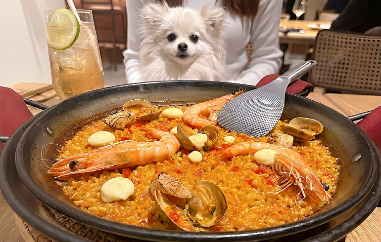 画像 1