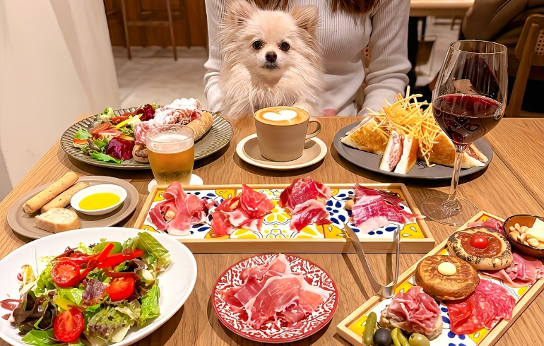 ランチ料理各種とゆめちゃん
