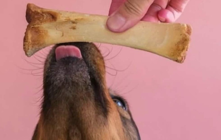 ワンちゃんのおやつ1