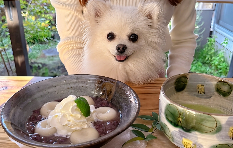 料理3
