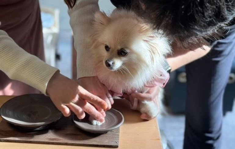 陶芸体験5