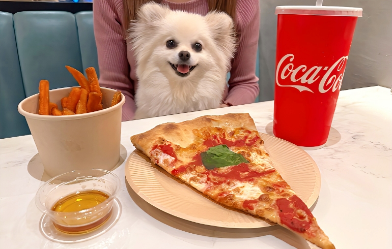 コンボセット