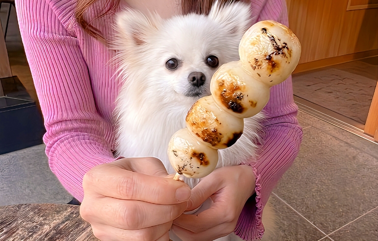 素焼き団子とゆめちゃん