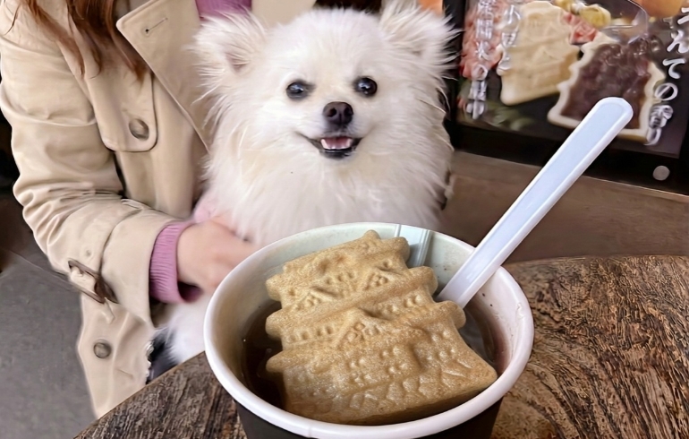 おしることゆめちゃん