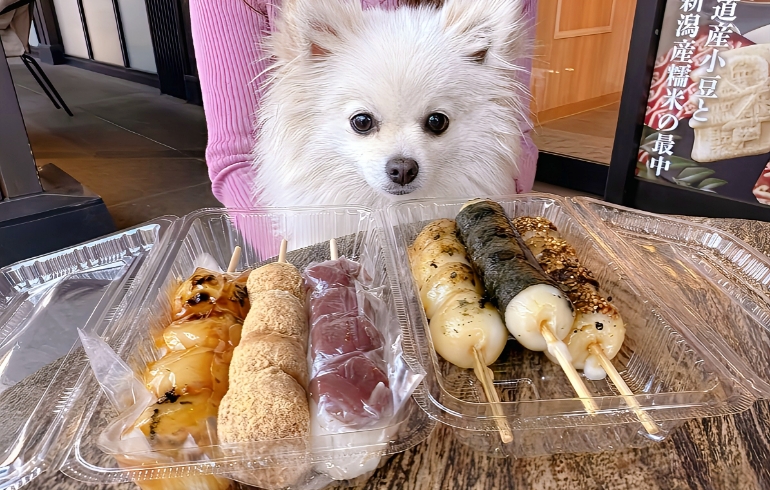 ゆめちゃんとお団子各種