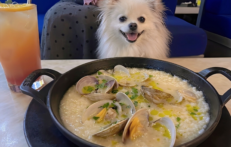 北海アサリのアロス・カルドソとゆめちゃん