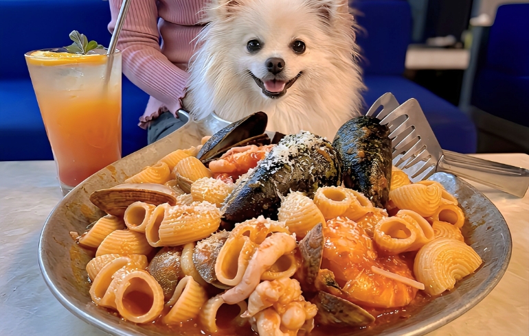 ペスカトーレとゆめちゃん
