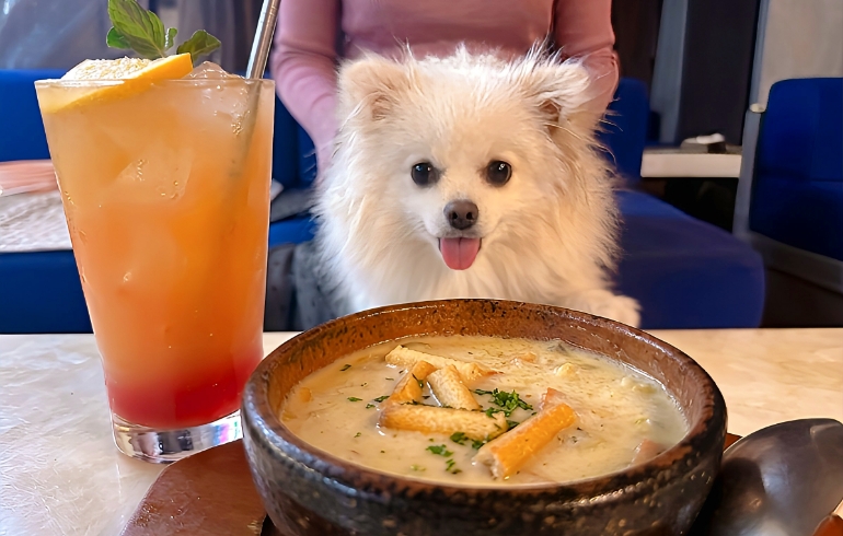 クラムチャウダーとゆめちゃん