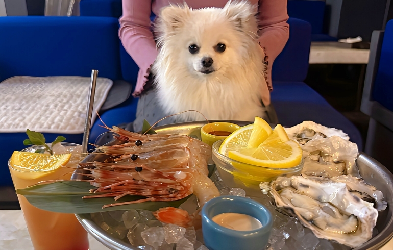 牡丹海老と牡蠣のオーシャンプラッターとゆめちゃん