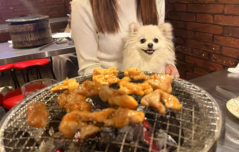 ホルモン焼き中とゆめちゃん