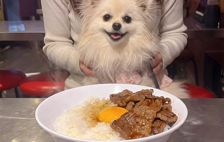 玉子かけごはんとゆめちゃん
