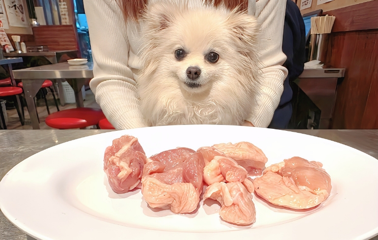 ワンちゃん用の味付けなしお肉とゆめちゃん