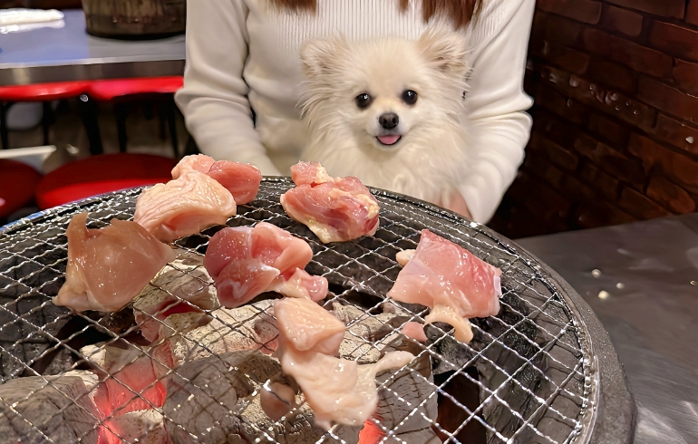 ワンちゃん用の味付けなしお肉（焼き中）とゆめちゃん