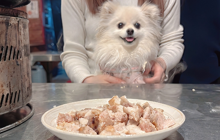 ワンちゃん用の味付けなしお肉（焼き後）とゆめちゃん