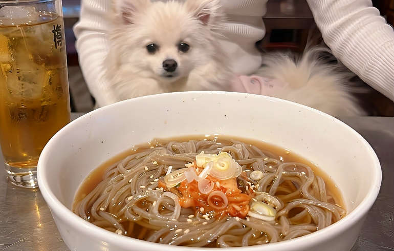 冷麺とゆめちゃん
