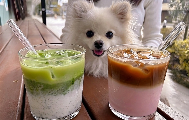 こだわりのラテとゆめちゃん1