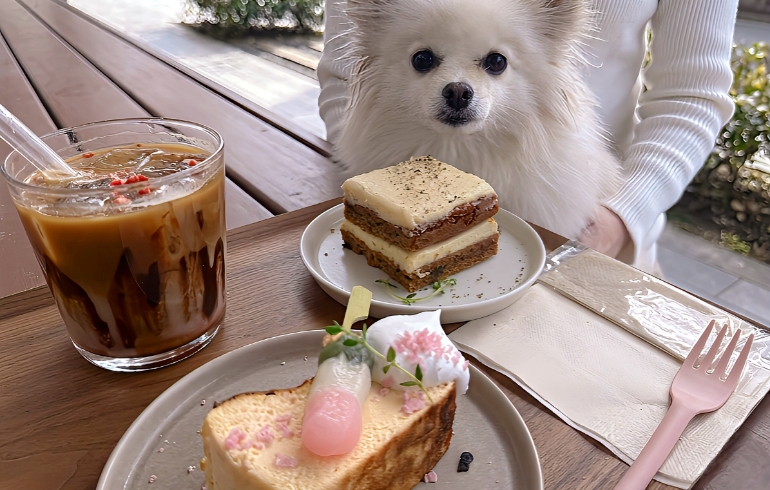 デザート３種とゆめちゃん1