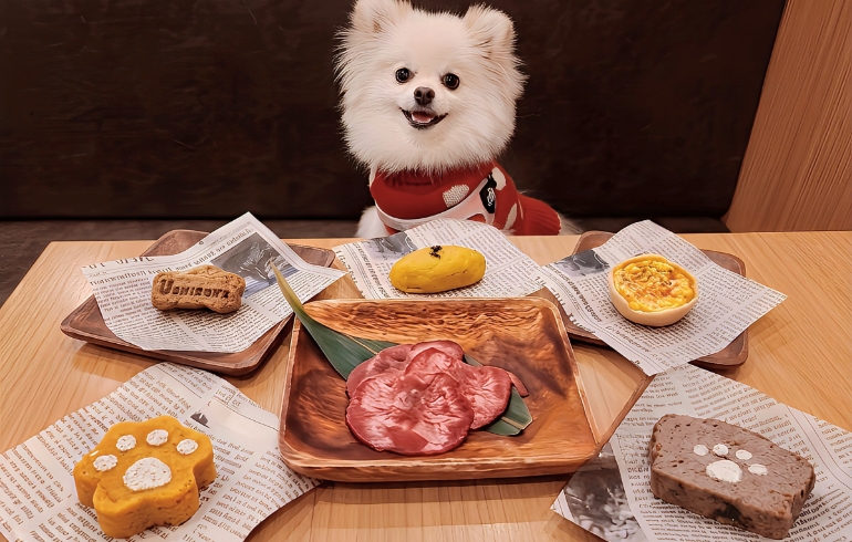 約肉各種とゆめちゃん